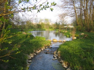 Würmschleife in Karlsfeld